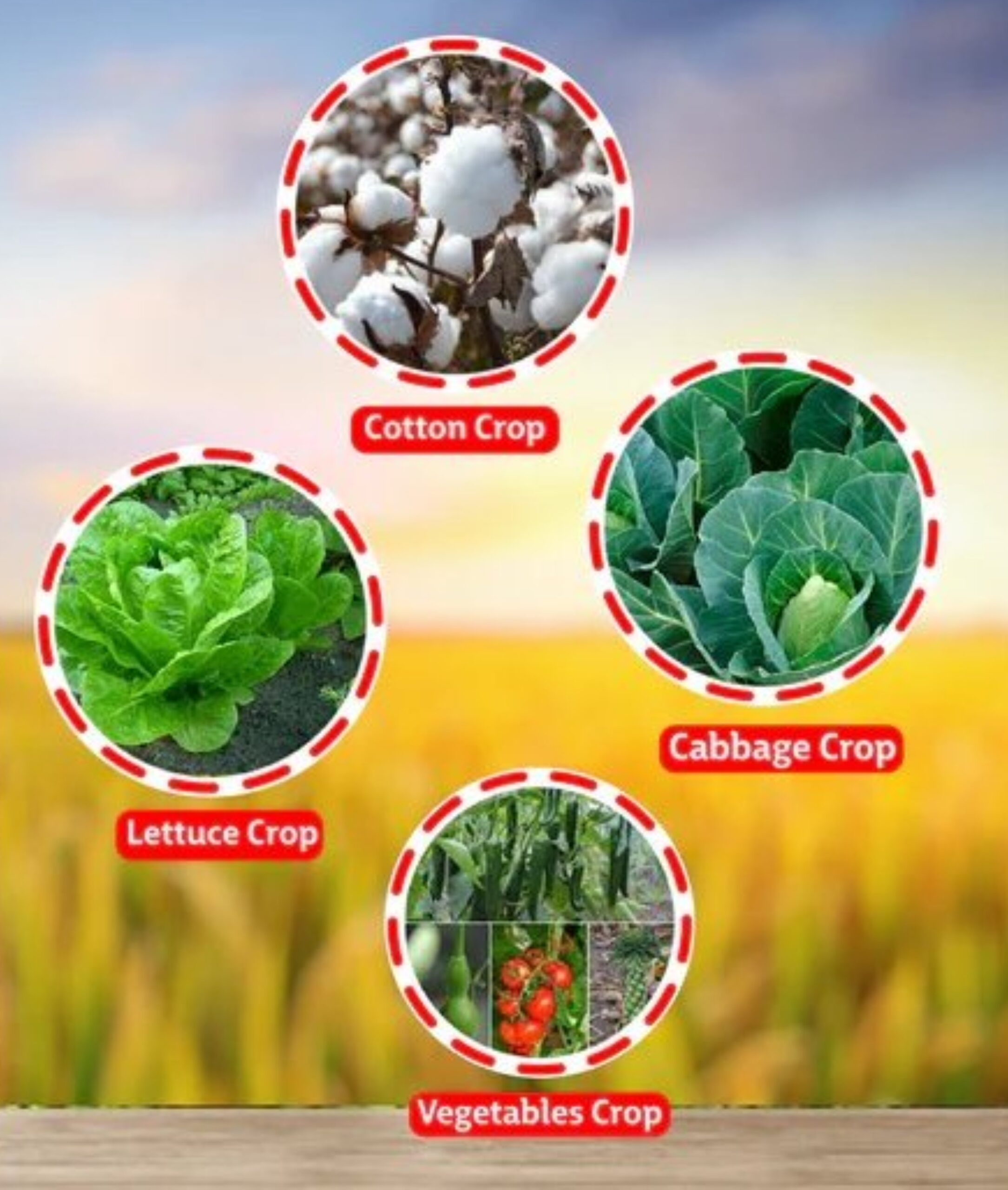 Herbicide - agrogatepakistan